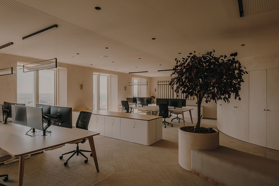 Destudio_OficinasTorrePicasso23