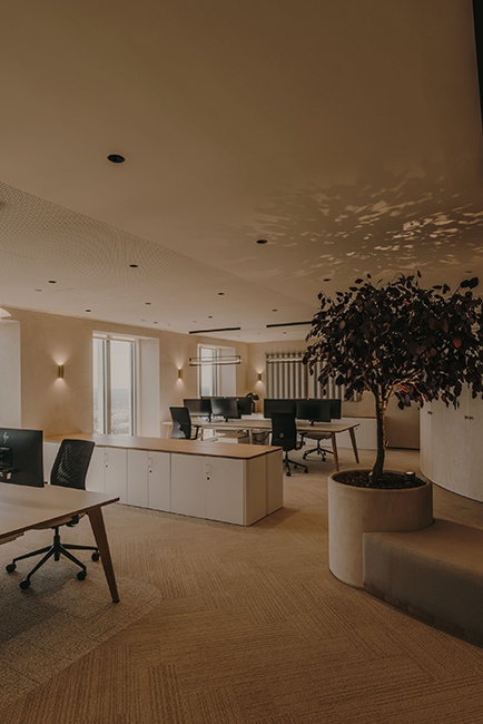 Destudio_OficinasTorrePicasso24