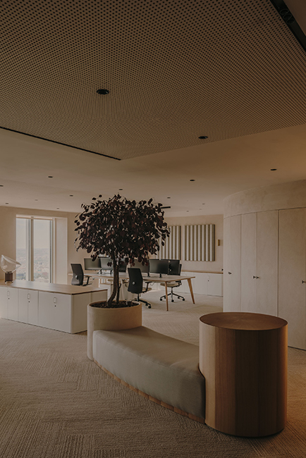 Destudio_OficinasTorrePicasso26