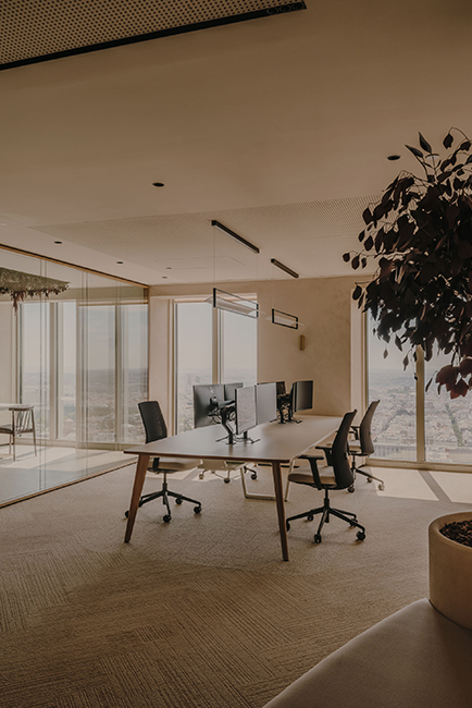Destudio_OficinasTorrePicasso29