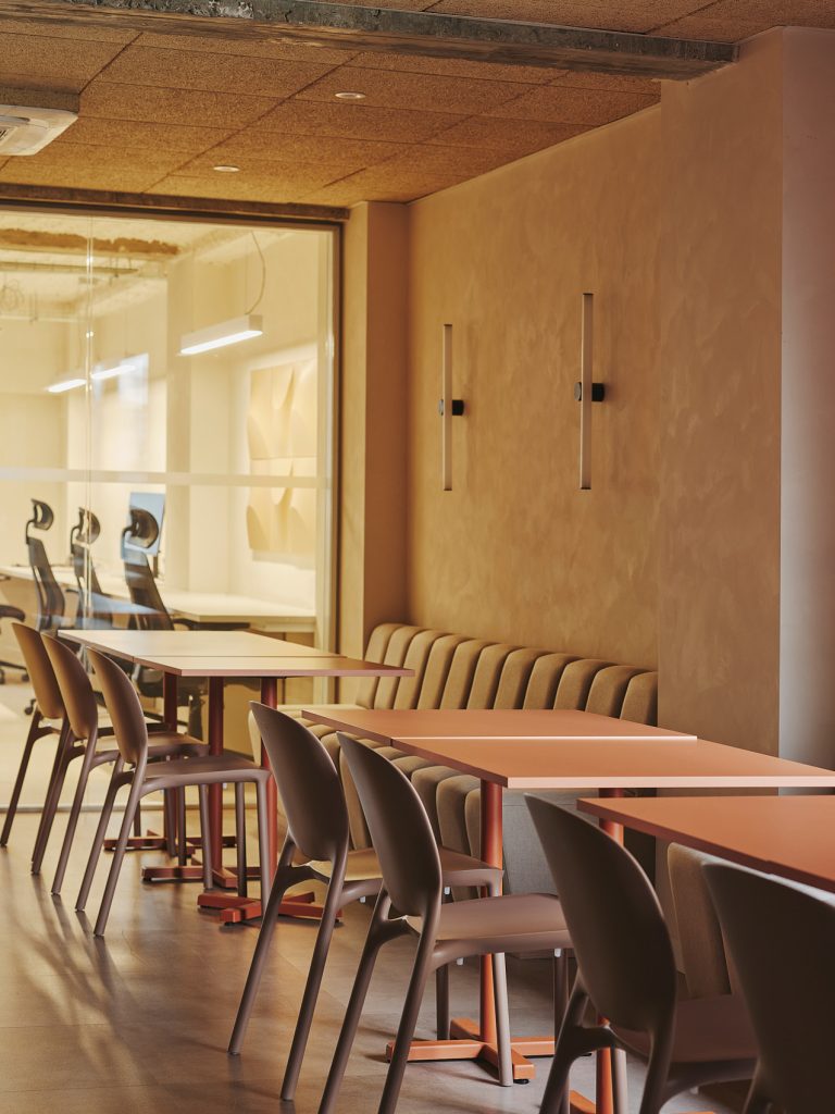 02-PROSOLIA-DESTUDIO-WEB