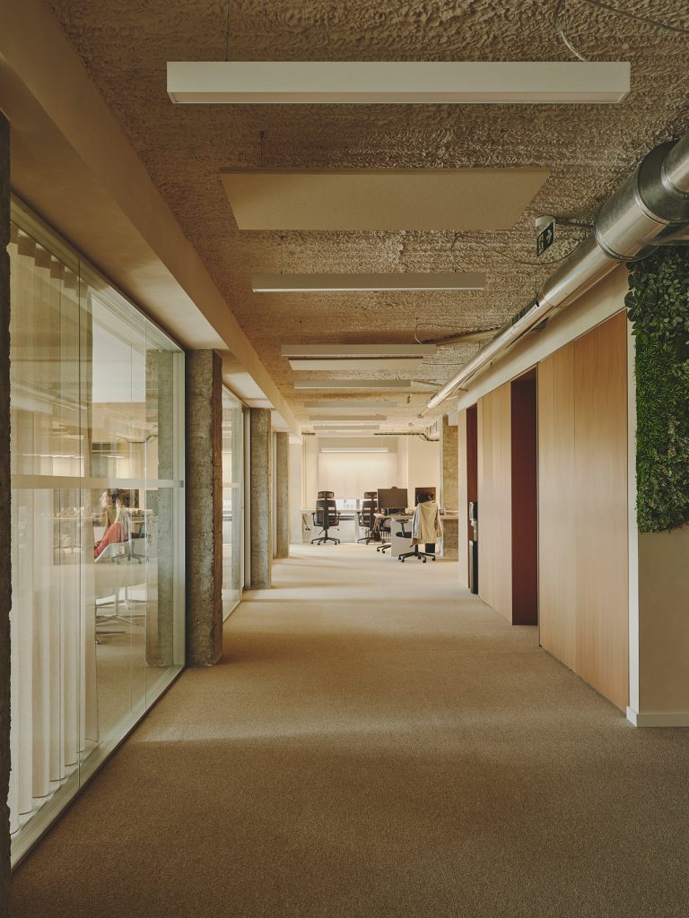 09-PROSOLIA-DESTUDIO-WEB