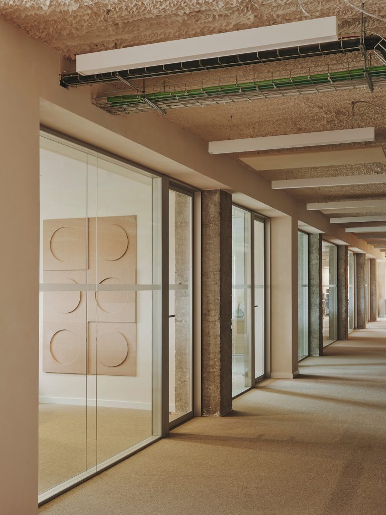 13-PROSOLIA-DESTUDIO-WEB