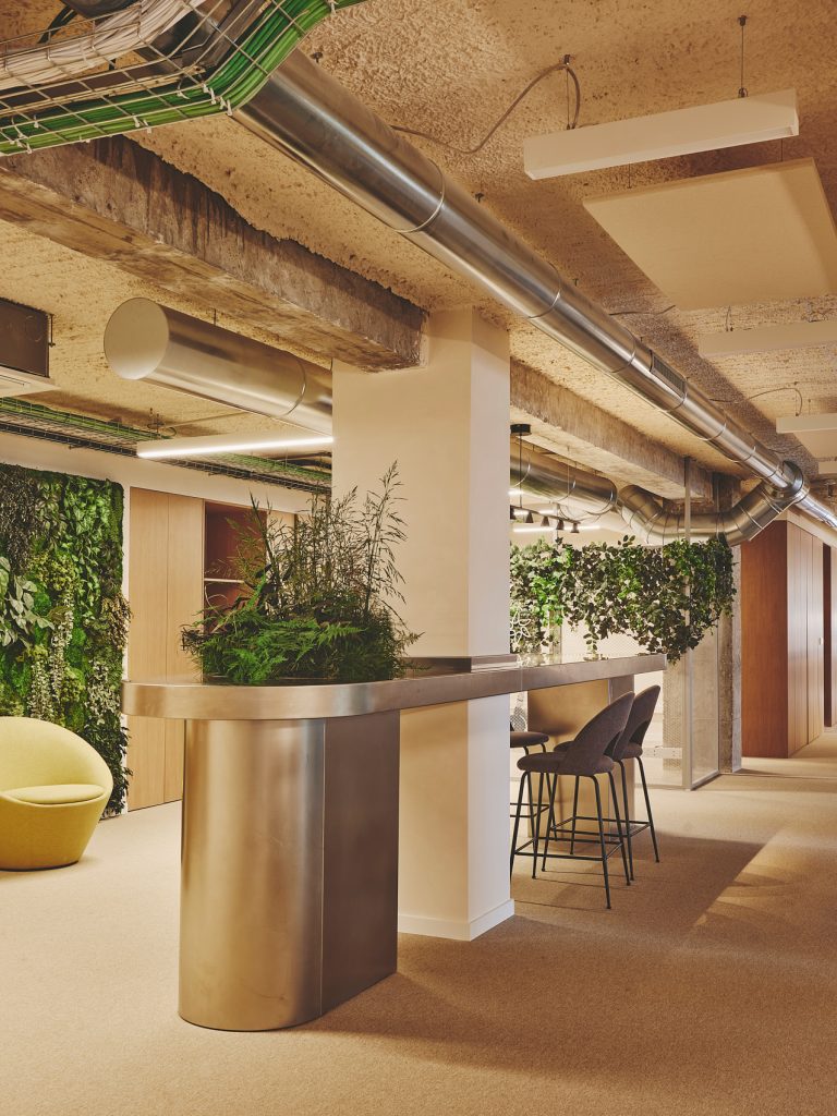 15-PROSOLIA-DESTUDIO-WEB