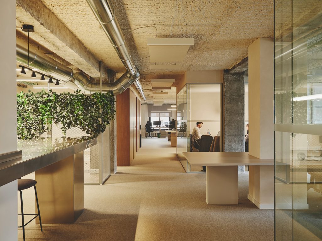 19-PROSOLIA-DESTUDIO-WEB