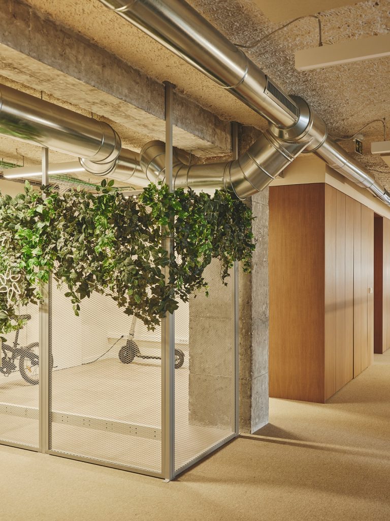 20-PROSOLIA-DESTUDIO-WEB