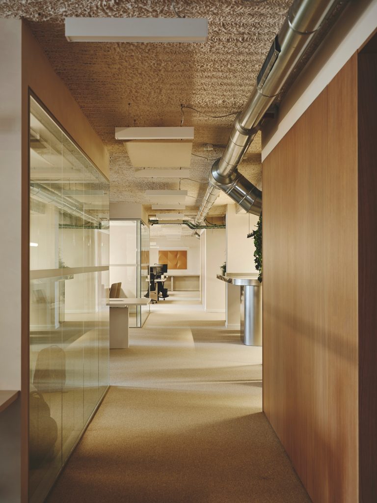 21-PROSOLIA-DESTUDIO-WEB