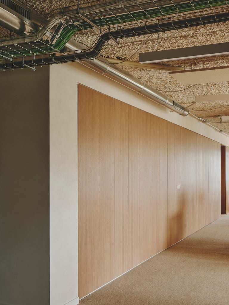 26-PROSOLIA-DESTUDIO-WEB