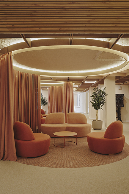 02Destudio_COGAColon