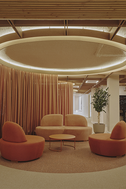 08Destudio_COGAColon