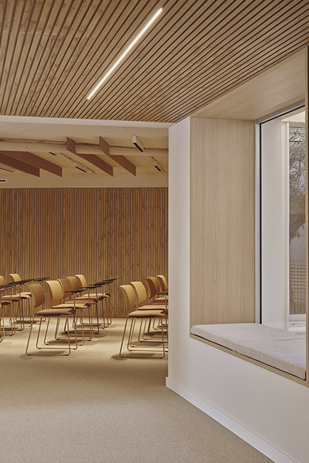 12Destudio_COGAColon