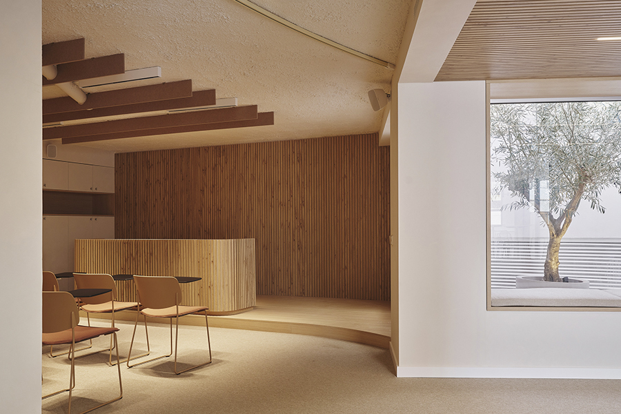 13Destudio_COGAColon