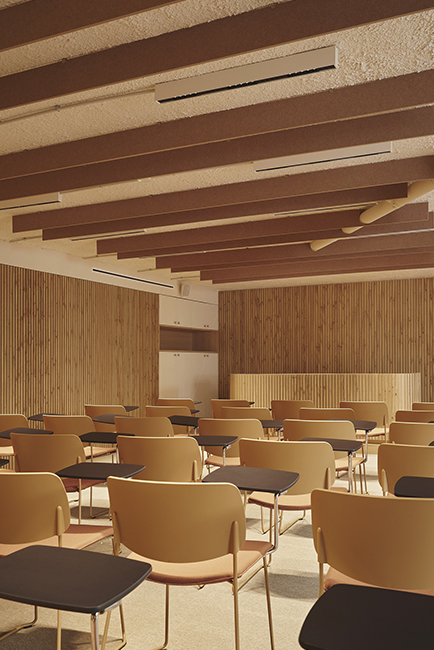 14Destudio_COGAColon