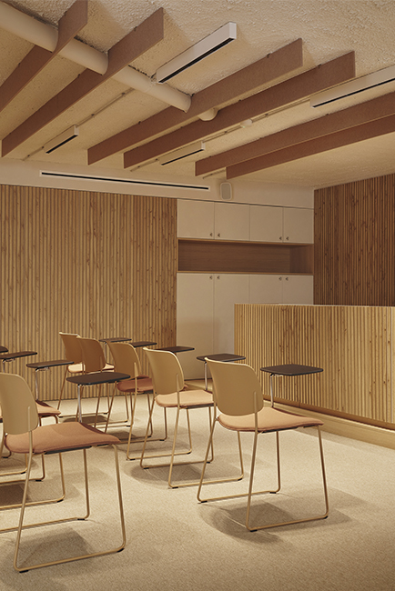 15Destudio_COGAColon