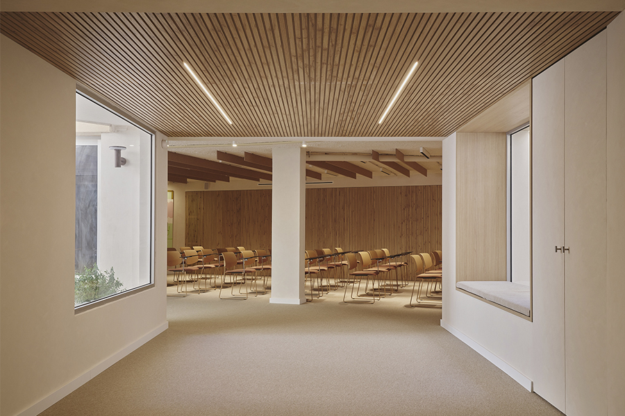 16Destudio_COGAColon