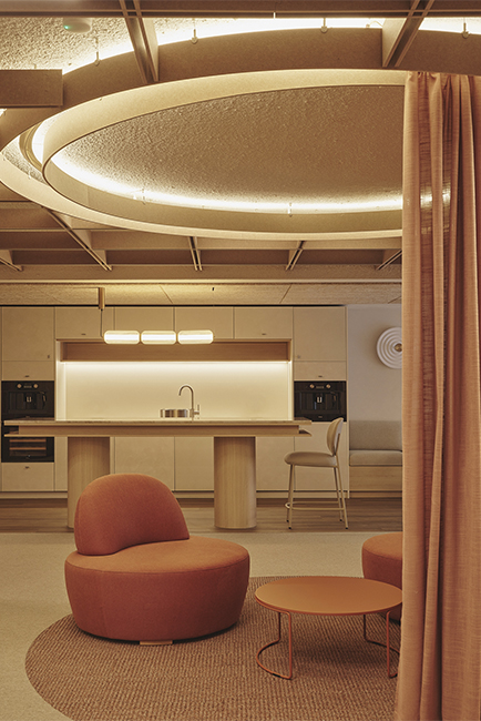 19Destudio_COGAColon