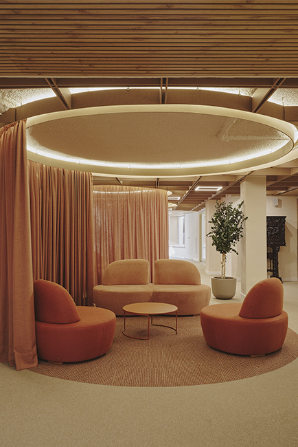 21Destudio_COGAColon