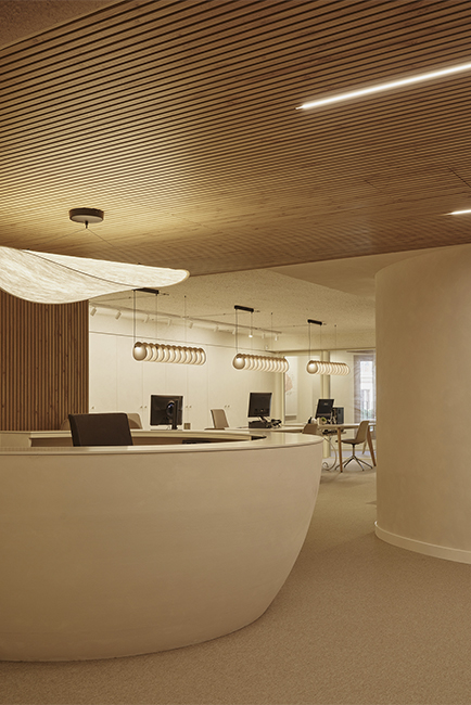 22Destudio_COGAColon