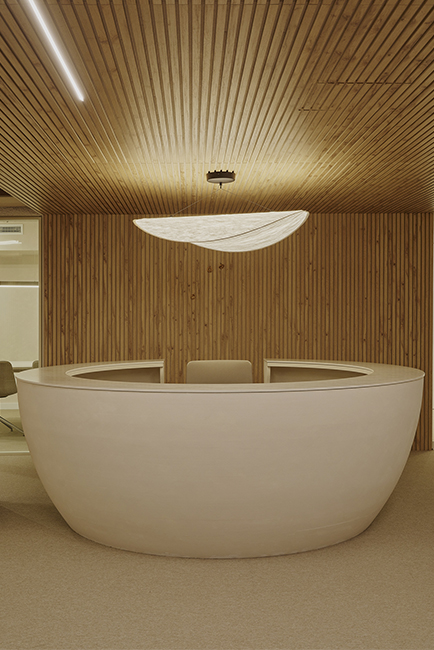 23Destudio_COGAColon