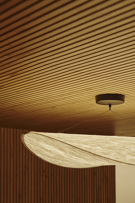 25Destudio_COGAColon