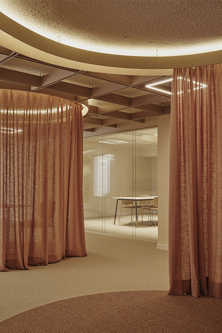 27Destudio_COGAColon