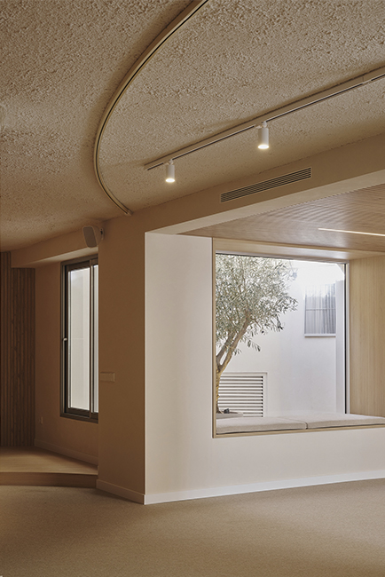 30Destudio_COGAColon